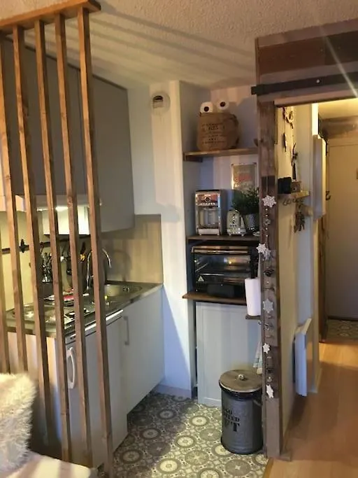 Apartament Studio Montagnard Vue Splendide Alpe D Huez Les Passeaux Alpe d'Huez